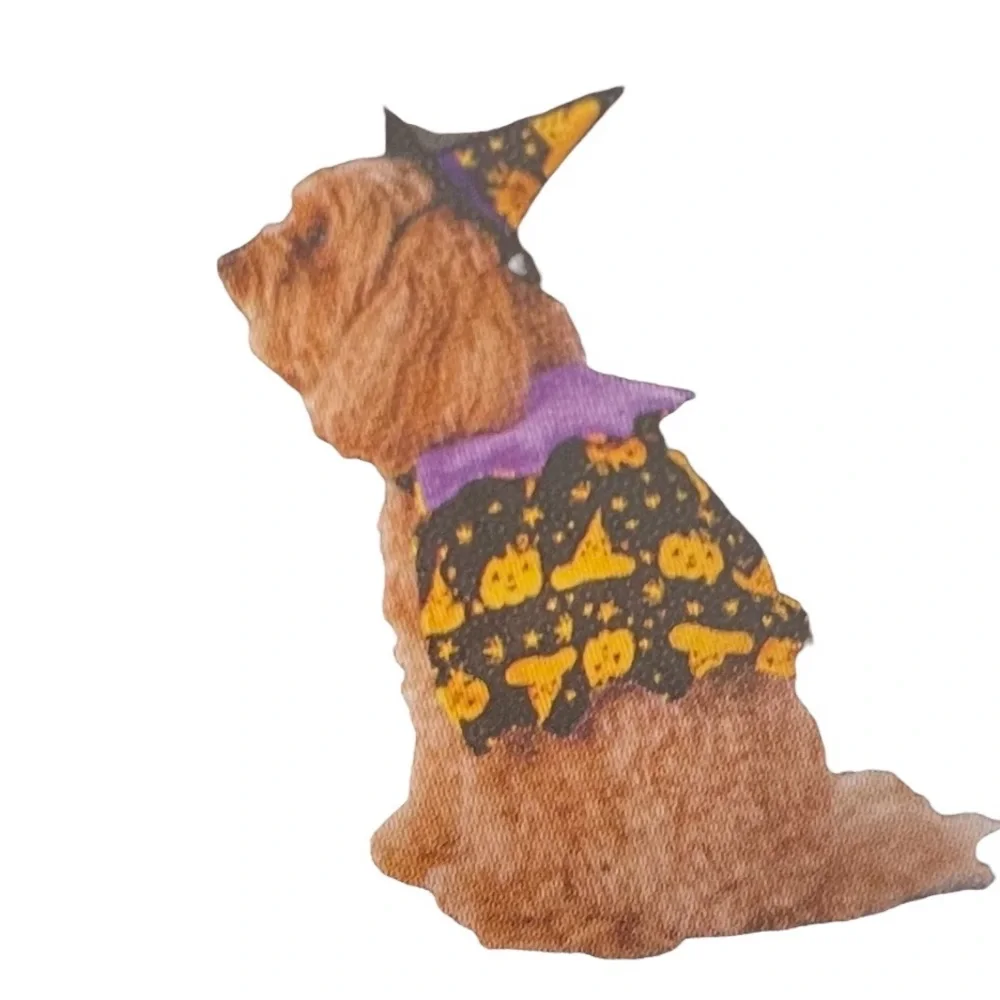 Heart to Tail Halloween Dog Costume with Witch Hat Small